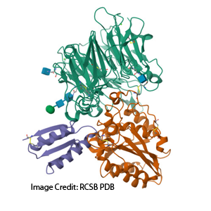 Synthetic Protein Interaction Project