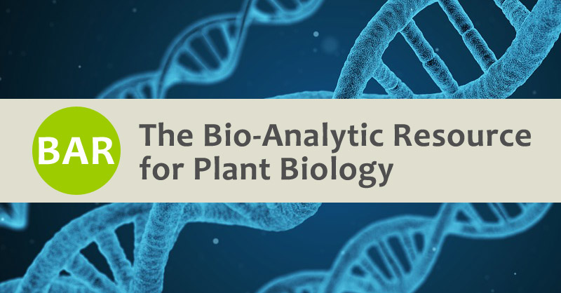 Comprehensive Update to Arabidopsis Dataset from BAR Database includes 13,000+ New Interactions