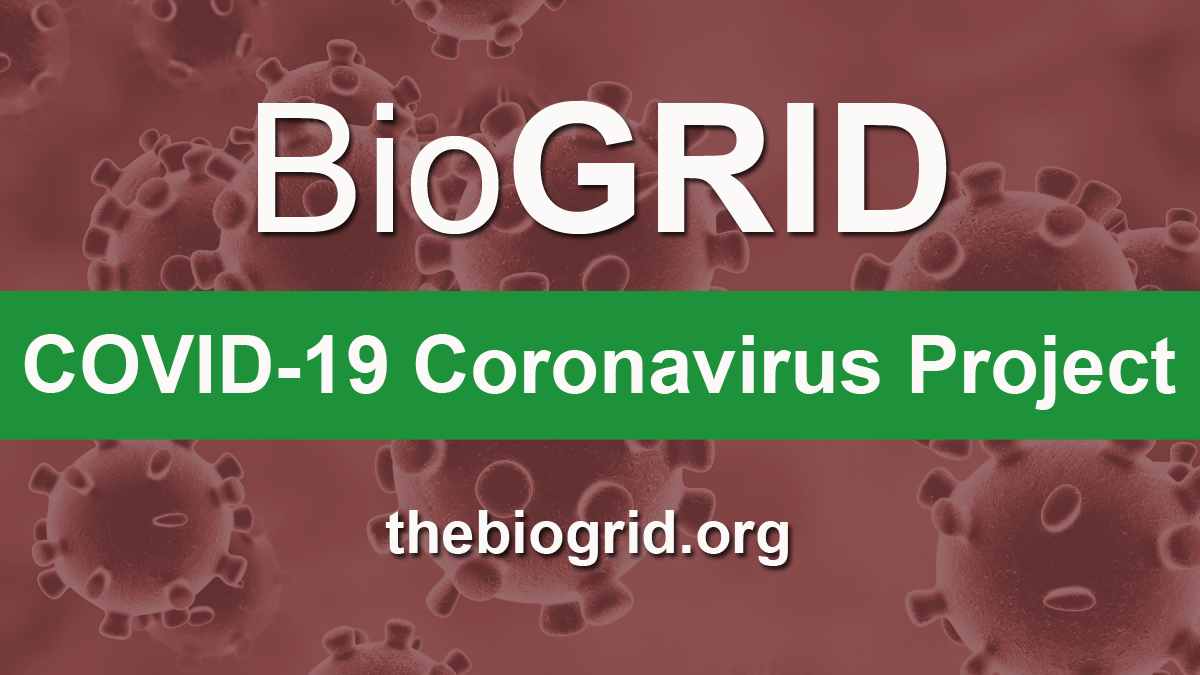 BioGRID Build 3.5.184 includes 491 Coronavirus-related Interactions