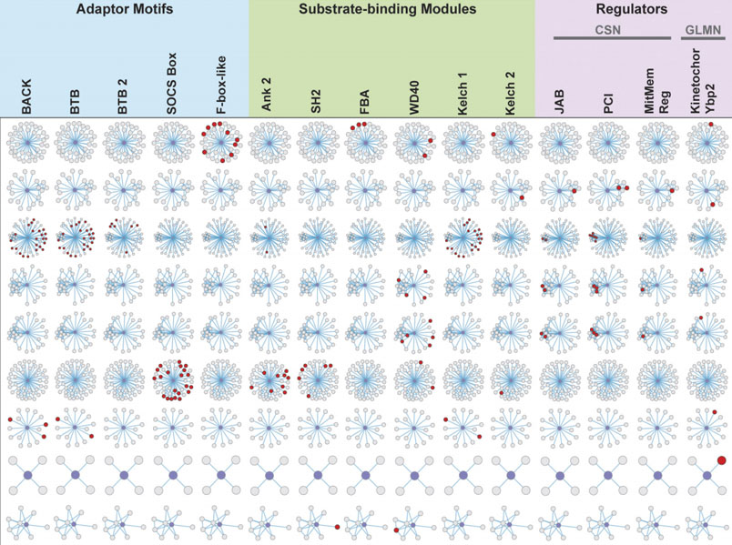 New Dataset of 56,473 Human Affinity Capture-MS Interactions